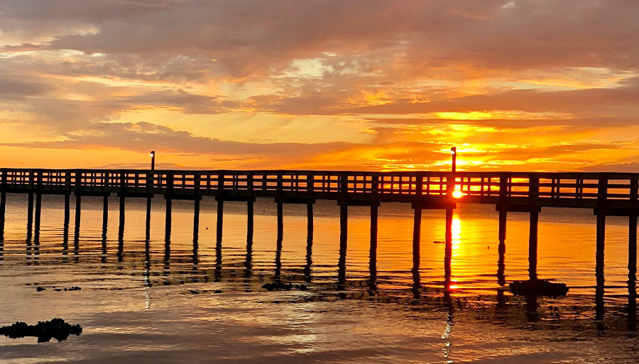 Image for Charlotte County