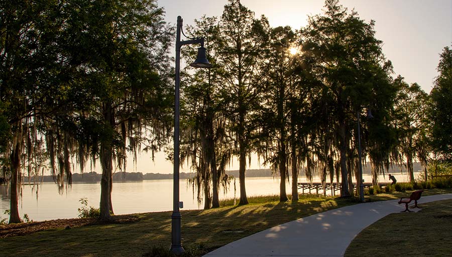 Image for Citrus County