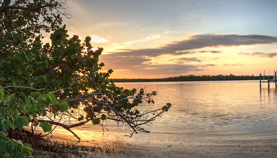 Image for Collier County