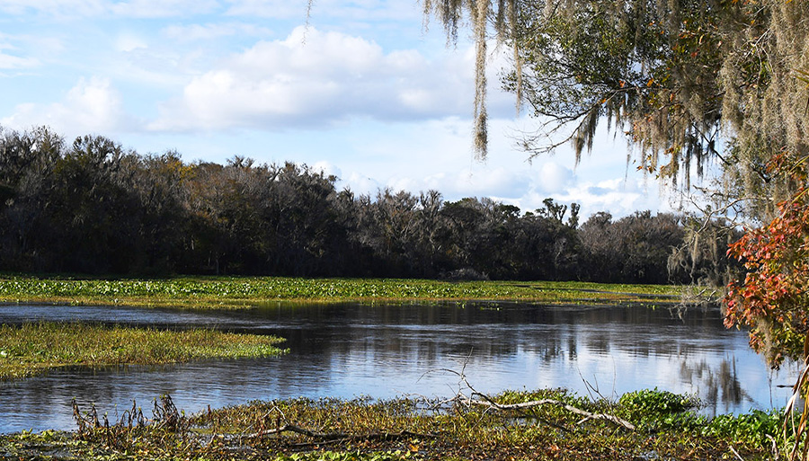 Image for Seminole County