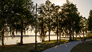 Image for Citrus County