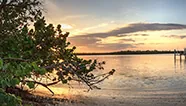 Image for Collier County