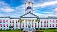 Image for Leon County
