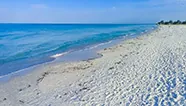 Image for Sarasota County